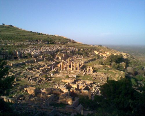 Cyrene8